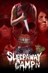 Sleepaway Camp IV: The Survivor - Poster
