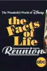 The Facts of Life Reunion - Poster