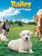 Adventures of Bailey: The Lost Puppy