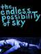 The Endless Possibility of Sky