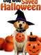 The Dog Who Saved Halloween