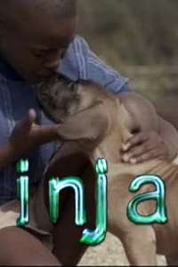 Inja - Poster