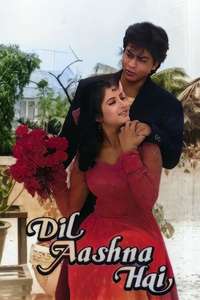 Dil Aashna Hai - Poster