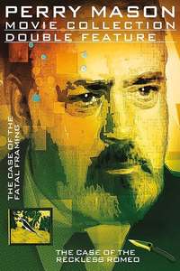 Perry Mason: The Case of the Fatal Framing - Poster