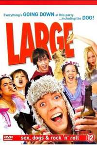 Large - Poster