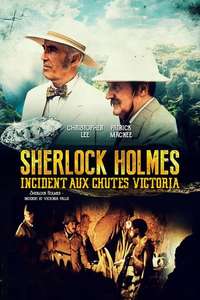 Sherlock Holmes: Incident at Victoria Falls - Poster