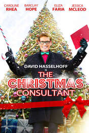 The Christmas Consultant