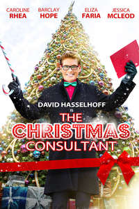 The Christmas Consultant - Poster