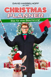 The Christmas Consultant - Poster