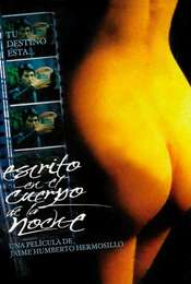 Written on the Body of Night