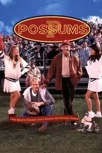 Possums - Poster