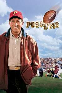 Possums - Poster