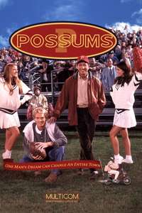 Possums - Poster