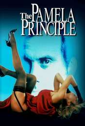 The Pamela Principle