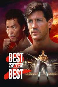 Best of the Best 2 - Poster
