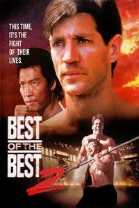 Best of the Best 2 - Poster