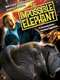 The Impossible Elephant