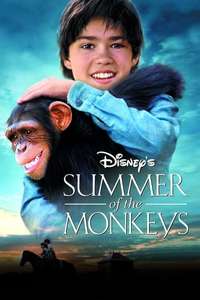 Summer of the Monkeys - Poster