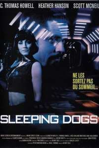 Sleeping Dogs - Poster