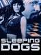 Sleeping Dogs