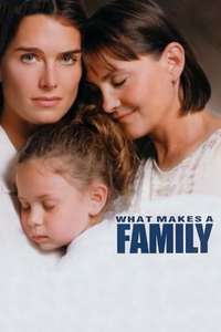 What Makes a Family - Poster