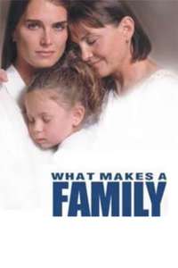 What Makes a Family - Poster