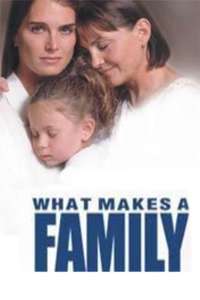 What Makes a Family - Poster