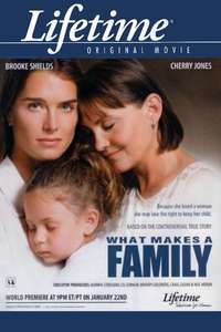 What Makes a Family - Poster