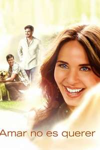 Amar no es Querer - Poster