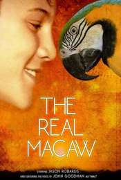 The Real Macaw
