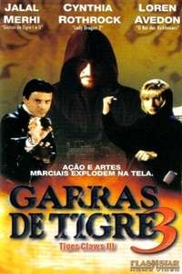 Tiger Claws III: The Final Conflict - Poster