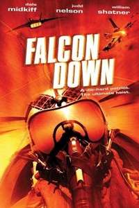 Falcon Down - Poster