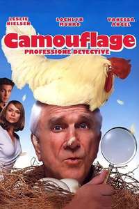 Camouflage - Poster