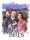 Rare Birds