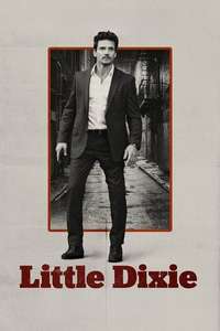 Little Dixie - Poster