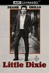 Little Dixie - Poster