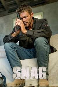 Snag - Posters