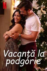 Holiday in the Vineyards - Posters
