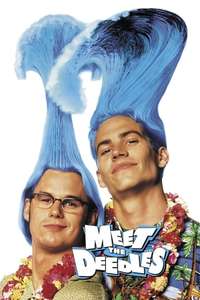 Meet the Deedles - Poster