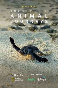 Incredible Animal Journeys - Posters