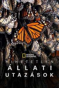 Incredible Animal Journeys - Posters