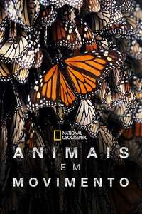 Incredible Animal Journeys - Posters