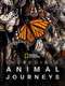 Incredible Animal Journeys