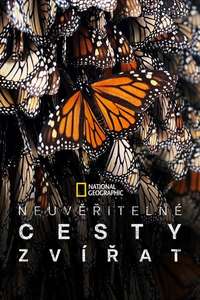 Incredible Animal Journeys - Posters