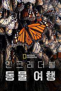 Incredible Animal Journeys - Posters