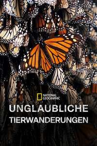 Incredible Animal Journeys - Posters