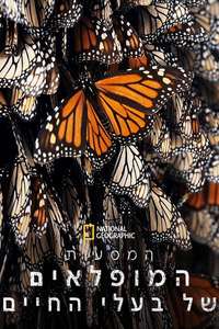 Incredible Animal Journeys - Posters
