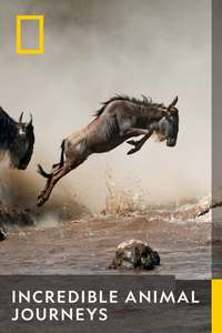 Incredible Animal Journeys - Posters