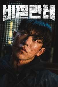 Vigilante - Posters