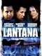 Lantana